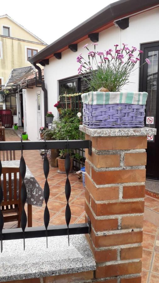 Lavanda Umag Zewnętrze zdjęcie