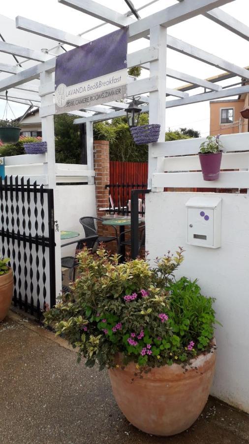 Lavanda Umag Zewnętrze zdjęcie